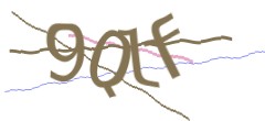Identifying code