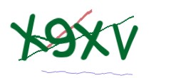 Identifying code