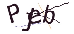 Identifying code