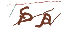 Identifying code
