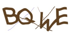 Identifying code