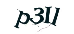 Identifying code