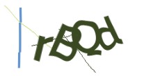 Identifying code