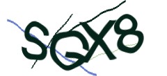 Identifying code