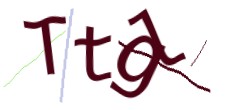 Identifying code