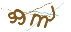Identifying code