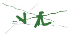 Identifying code