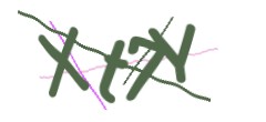 Identifying code