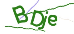 Identifying code