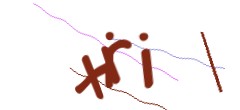 Identifying code