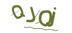 Identifying code