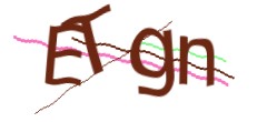 Identifying code