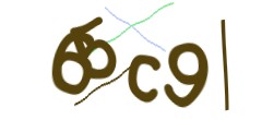 Identifying code