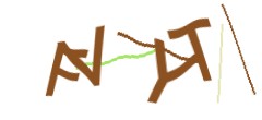 Identifying code