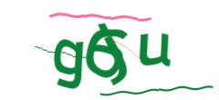 Identifying code