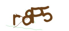 Identifying code