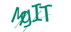 Identifying code