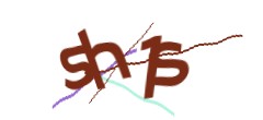 Identifying code