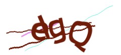 Identifying code