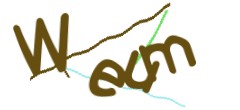Identifying code