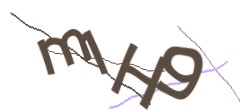 Identifying code