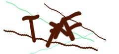 Identifying code