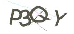 Identifying code