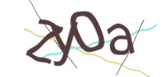 Identifying code