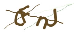 Identifying code
