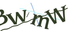 Identifying code