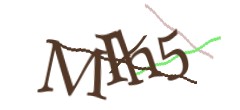 Identifying code
