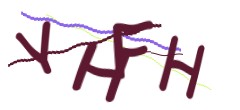 Identifying code