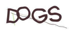 Identifying code