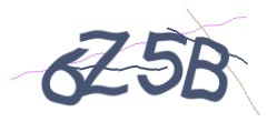 Identifying code
