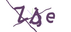 Identifying code