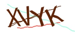 Identifying code
