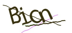 Identifying code