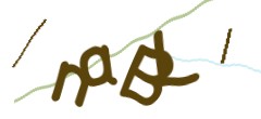 Identifying code