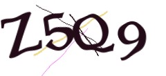 Identifying code