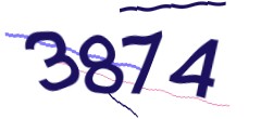 Identifying code