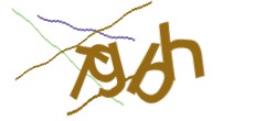 Identifying code