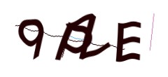 Identifying code