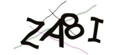Identifying code