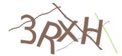 Identifying code
