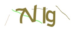Identifying code