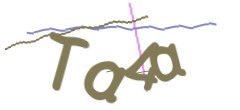 Identifying code