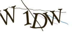 Identifying code