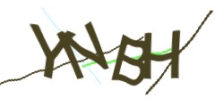Identifying code