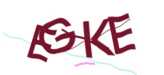 Identifying code