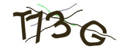 Identifying code